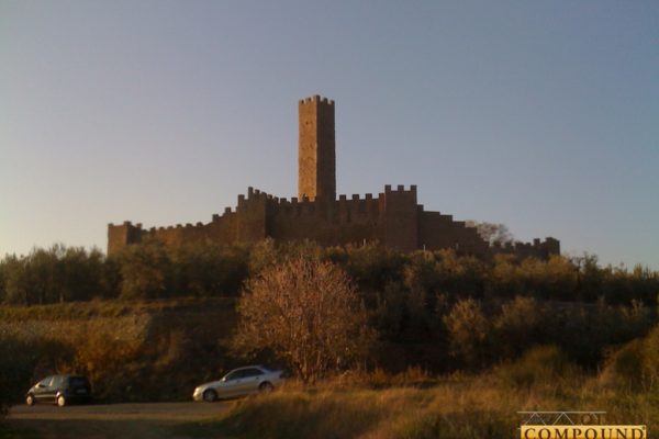 Fotografia 33 di 43