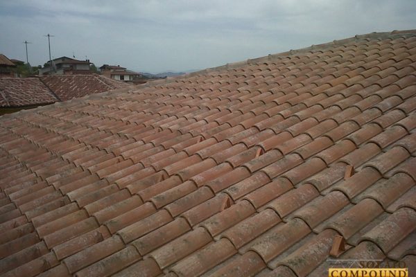 Fotografia 37 di 48